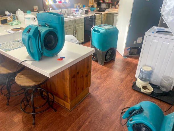 Best Water damage contractors near me  in Pleasant Hill, MS