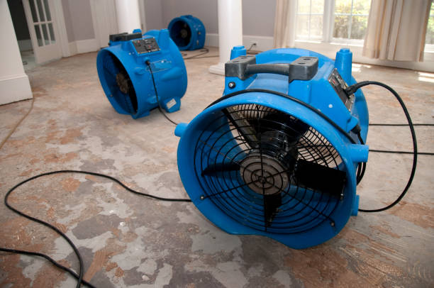 Best Ceiling water damage repair  in Pleasant Hill, MS