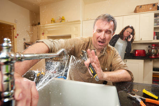 Best Fire Damage Restoration  in Pleasant Hill, MS